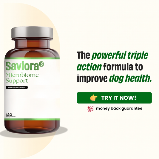 Saviora Microbiome Support