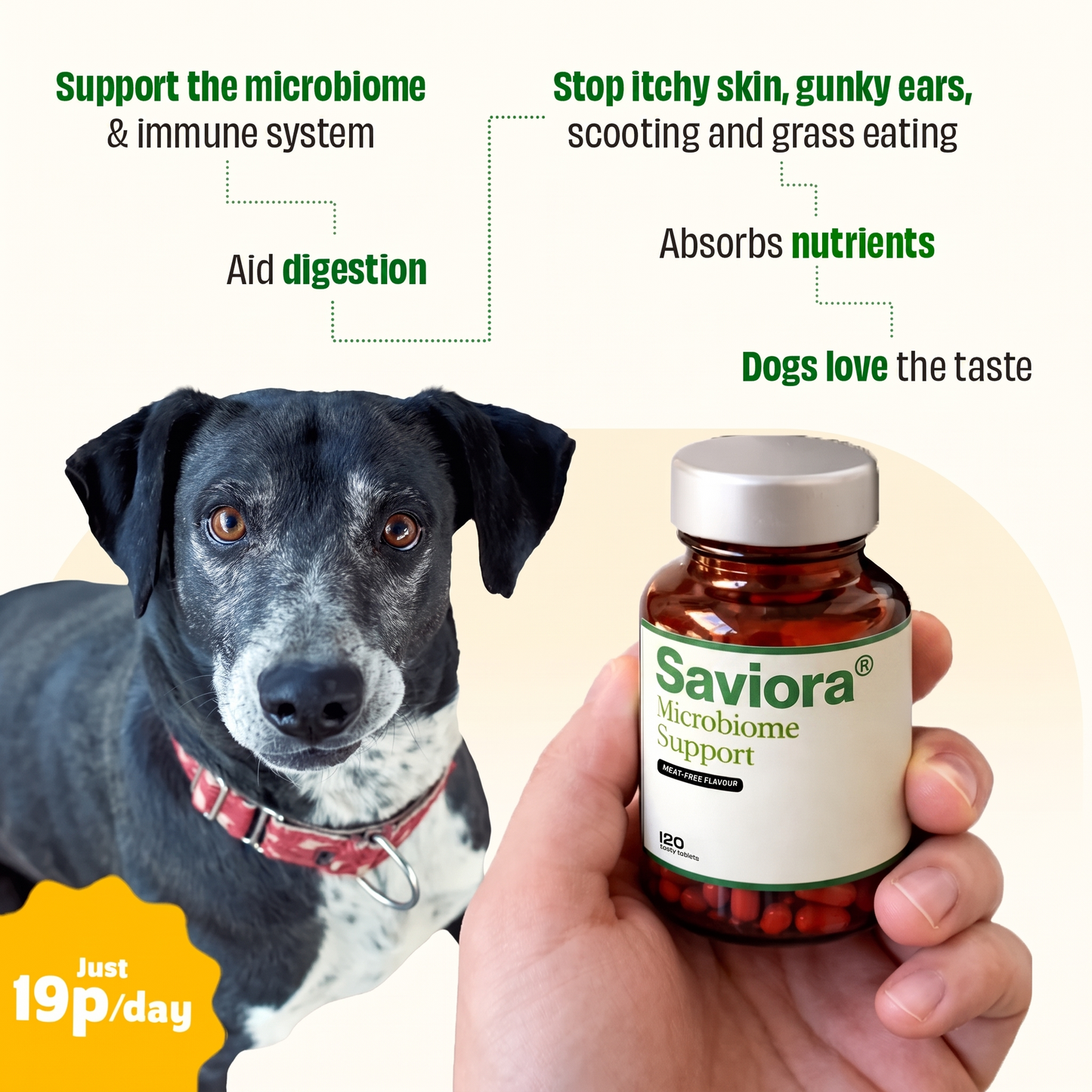 Saviora Microbiome Support