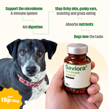 Saviora Microbiome Support