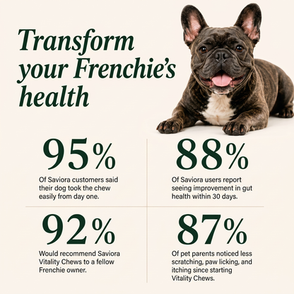 French Bulldog Vitality Chews