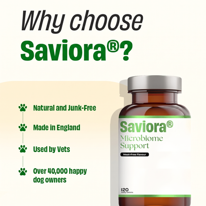 Saviora Microbiome Support