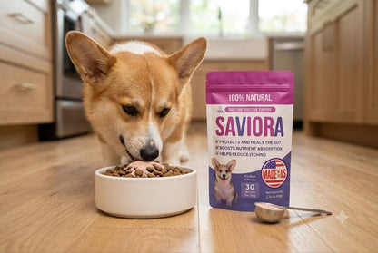 Dog Gut-Health