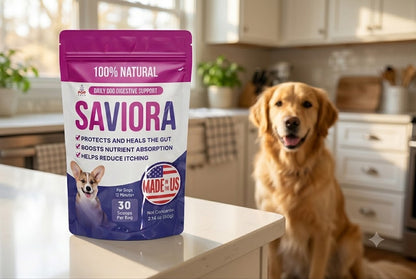 Dog Gut-Health