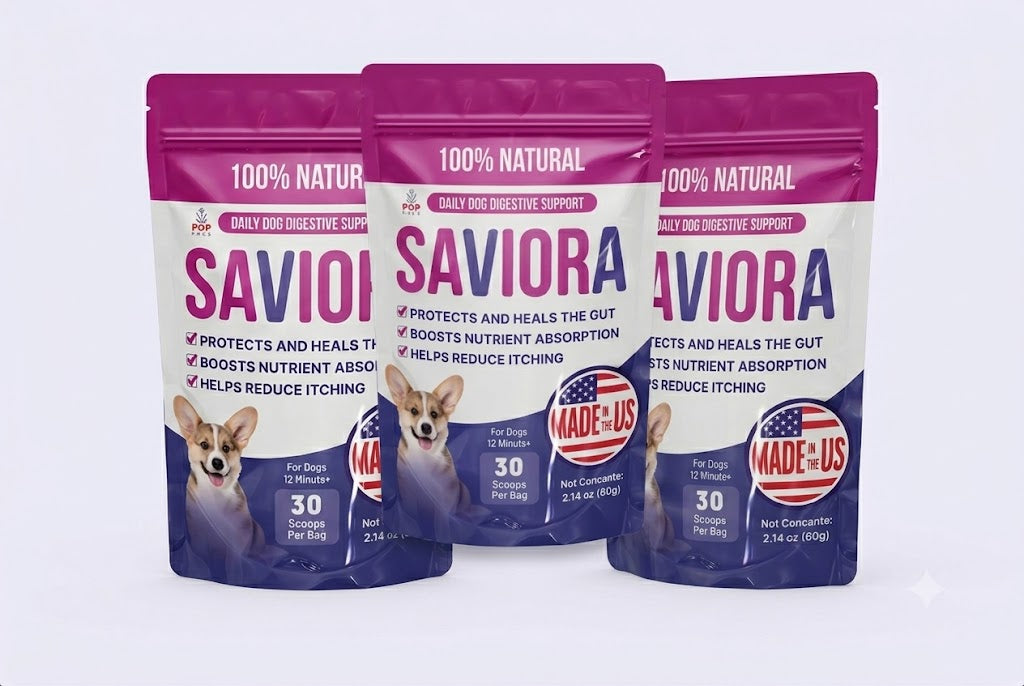 Dog Gut-Health