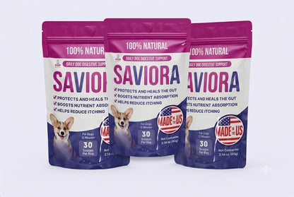 Dog Gut-Health