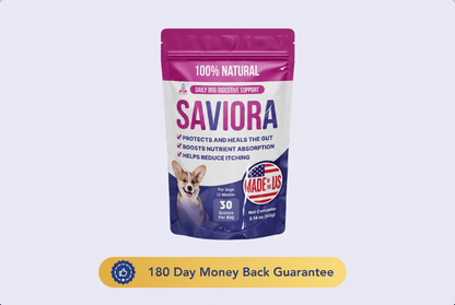 Dog Gut-Health
